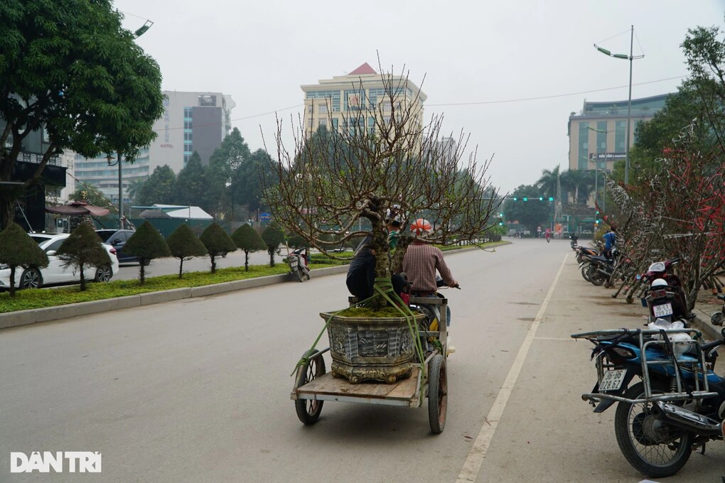 Thợ xây tranh thủ nhận mang xuân về nhà kiếm tiền triệu ngày cận Tết - 2