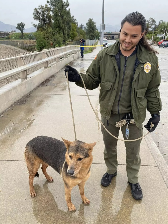 Con chó đứng cạnh nhân viên cơ quan động vật Los Angeles ngày 5/1. Ảnh: LAFD