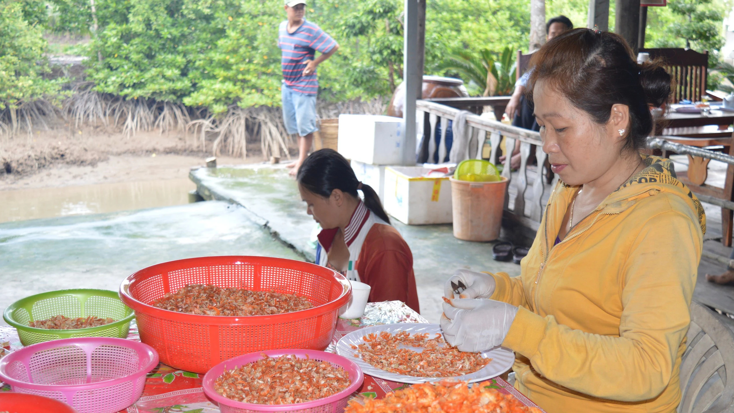 Độc đáo nghề làm tôm khô truyền thống đặc sản ở Cà Mau- Ảnh 2.