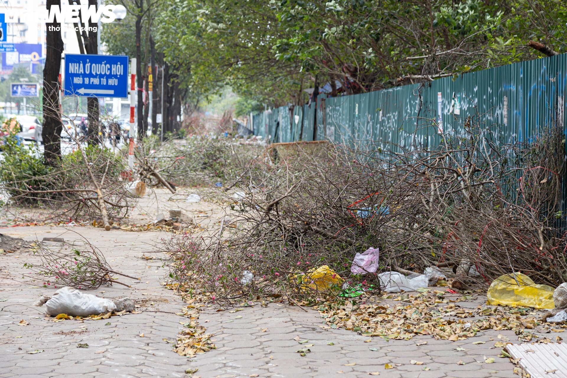 Hạ giá kịch sàn vẫn ế, tiểu thương Hà Nội ngậm ngùi chặt đào về quê đón Tết - 4