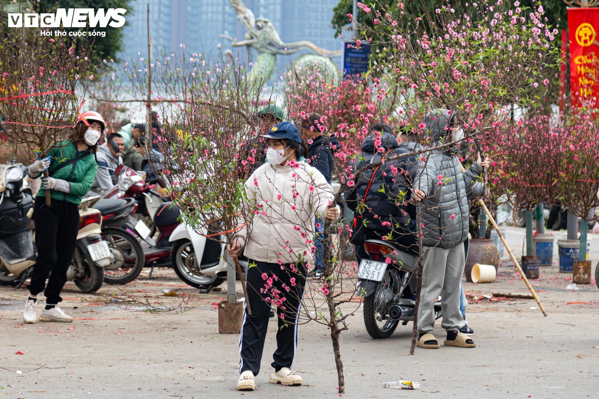 Hạ giá kịch sàn vẫn ế, tiểu thương Hà Nội ngậm ngùi chặt đào về quê đón Tết - 13