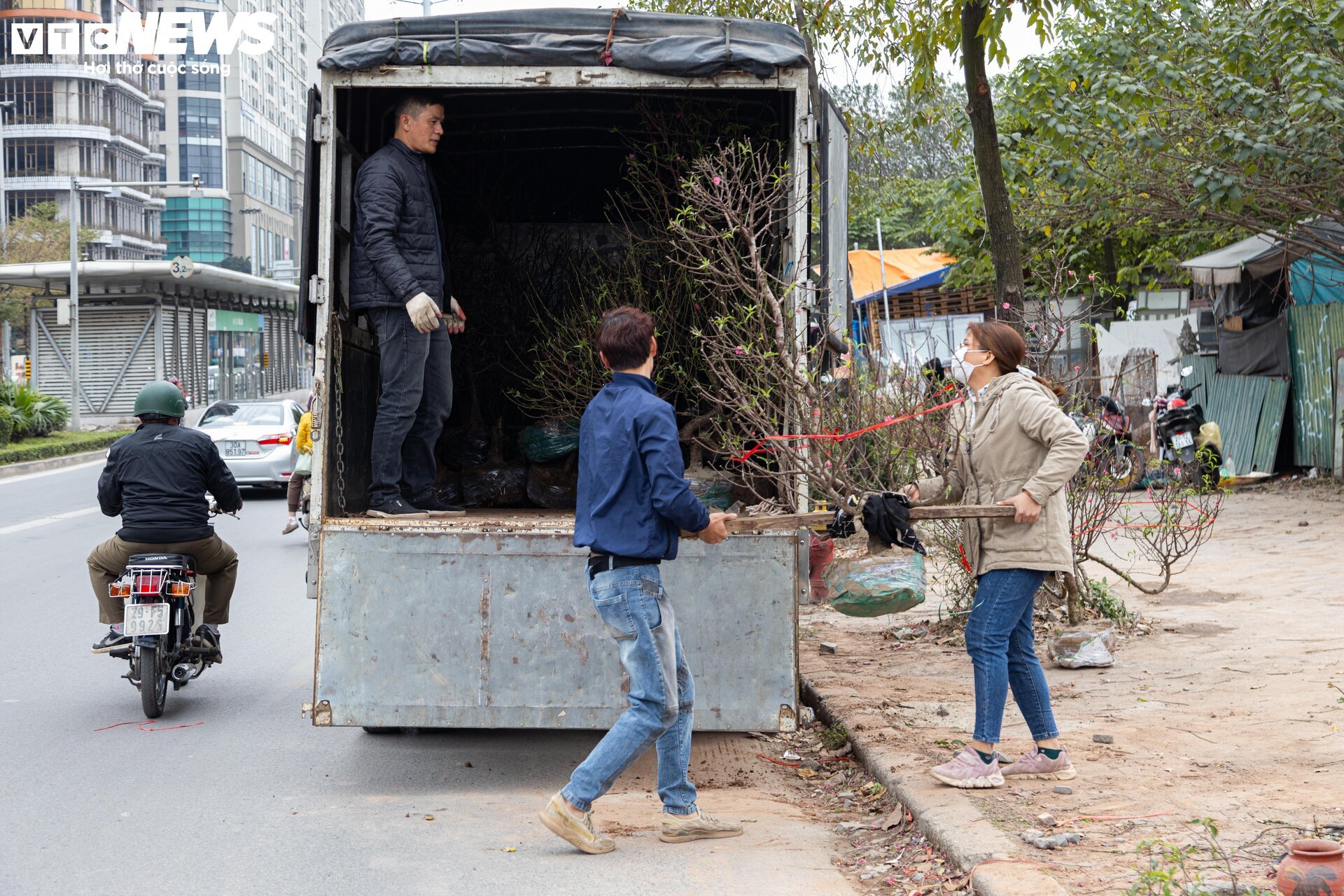 Hạ giá kịch sàn vẫn ế, tiểu thương Hà Nội ngậm ngùi chặt đào về quê đón Tết - 16