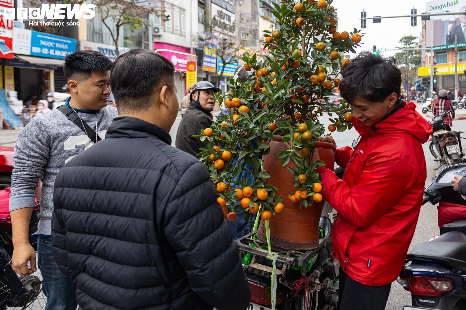 Hạ giá kịch sàn vẫn ế, tiểu thương Hà Nội ngậm ngùi chặt đào về quê đón Tết - 20