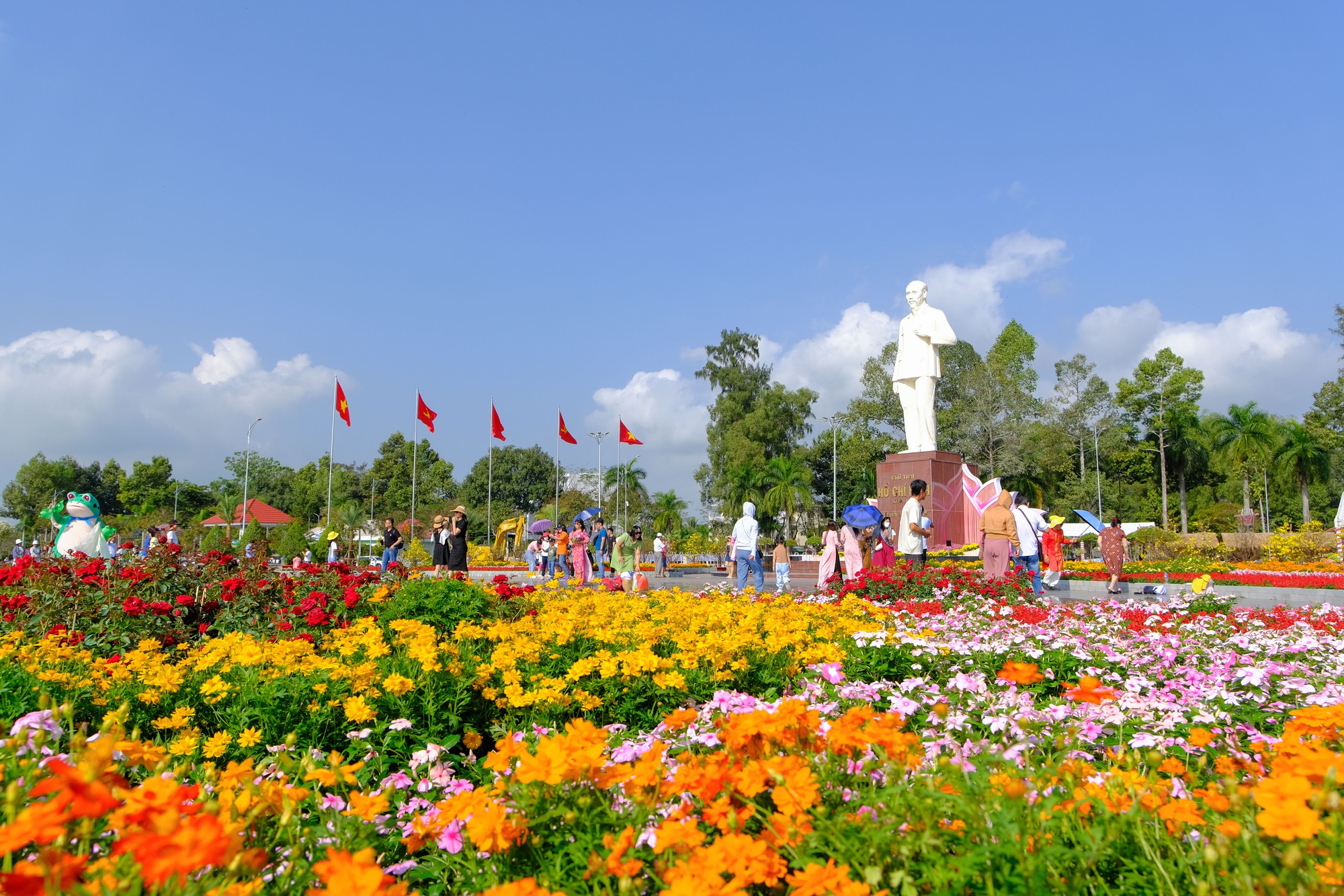 Làng hoa Sa Đéc tưng bừng sắc màu - Ảnh 5.