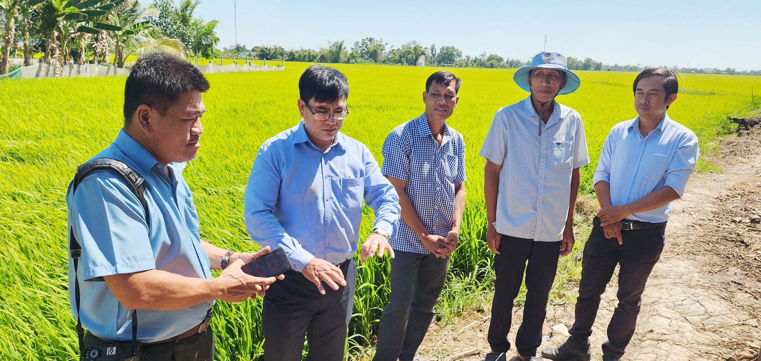 Siêu cánh đồng mẫu lớn- Ảnh 3.