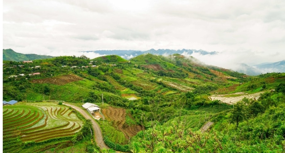 dat nuoc minh dau cung dep nhu tranh hinh 2