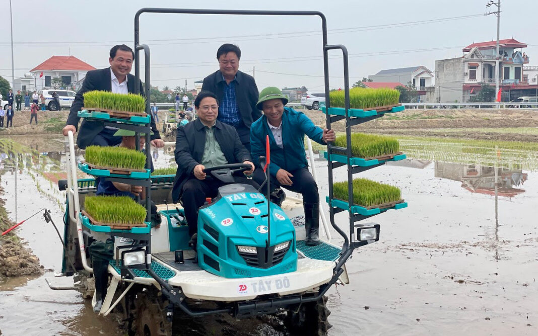 Thủ tướng xuống đồng cấy lúa, thu hoạch cà rốt cùng nông dân