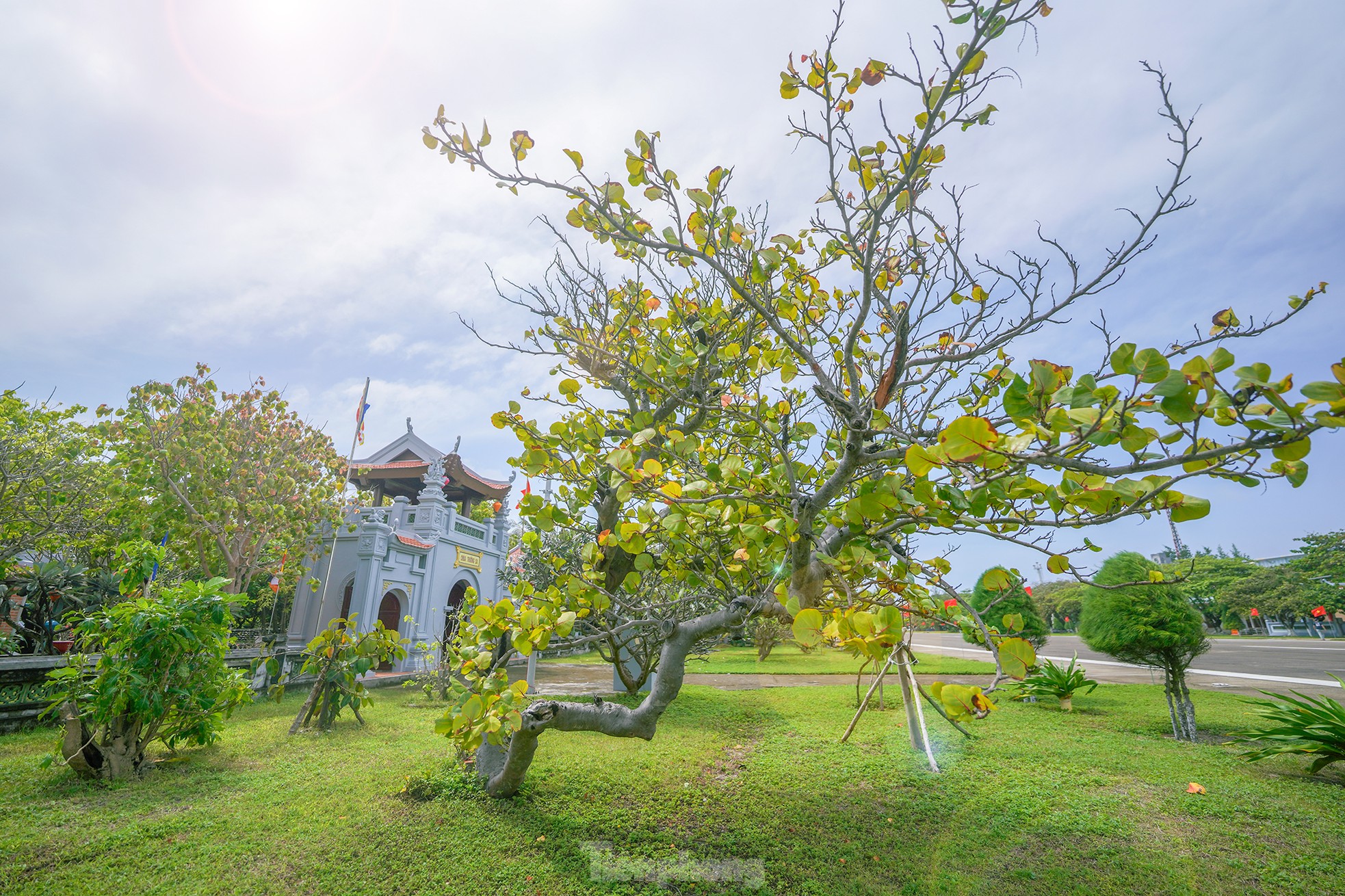 Bình yên chùa Trường Sa trên đảo thiêng ảnh 8