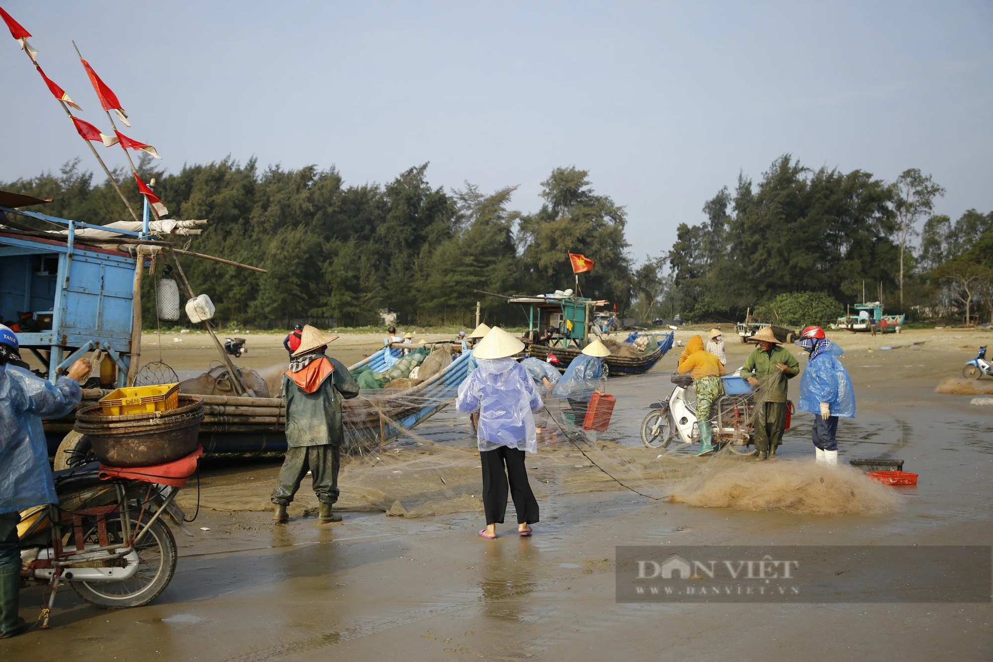 Tháng Giêng là tháng ăn chơi, nhưng ở một nơi của Thanh Hóa là tháng gỡ cá trích mỏi tay- Ảnh 3.