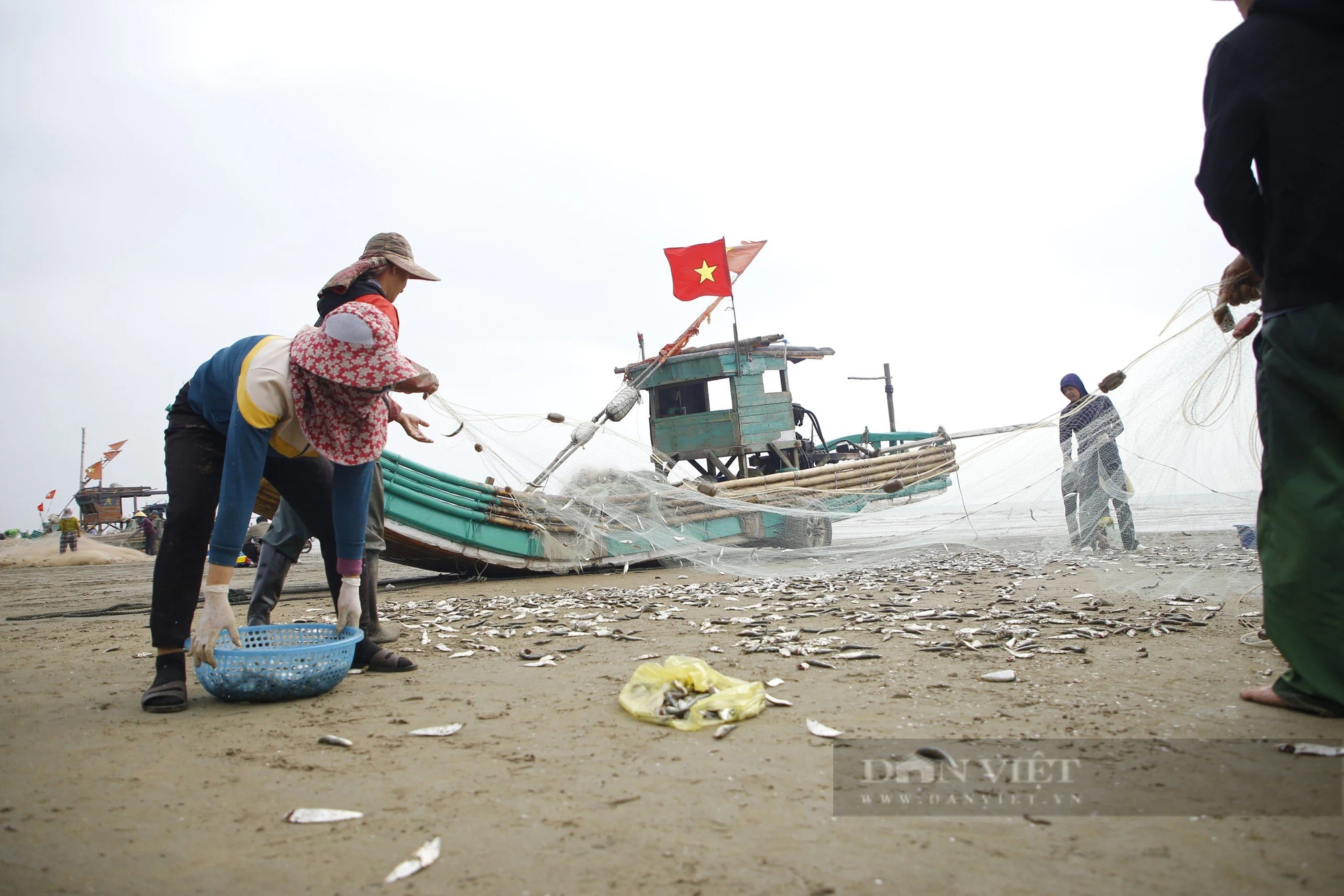 Tháng Giêng là tháng ăn chơi, nhưng ở một nơi của Thanh Hóa là tháng gỡ cá trích mỏi tay- Ảnh 6.