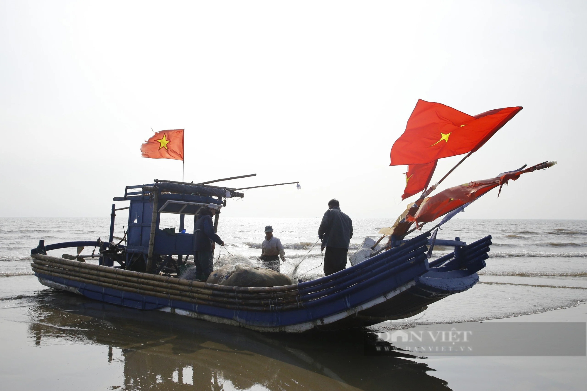 Tháng Giêng là tháng ăn chơi, nhưng ở một nơi của Thanh Hóa là tháng gỡ cá trích mỏi tay- Ảnh 7.