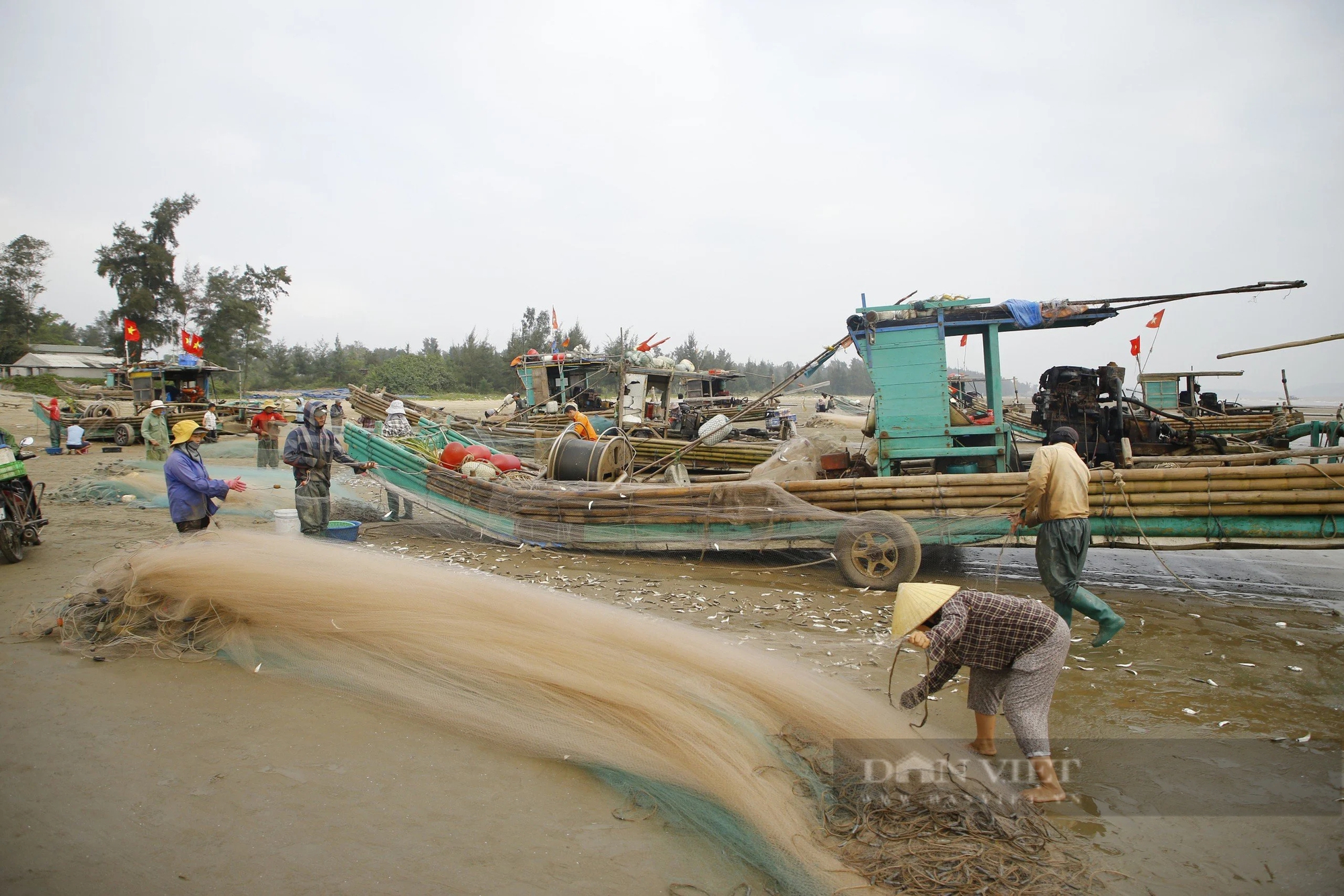 Tháng Giêng là tháng ăn chơi, nhưng ở một nơi của Thanh Hóa là tháng gỡ cá trích mỏi tay- Ảnh 8.