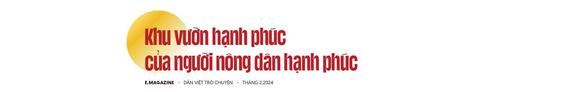 Nông dân Việt Nam xuất sắc Nguyễn Văn Hữu: "Cãi" cả họ phá vải thiều trồng bưởi và khu vườn hạnh phúc- Ảnh 6.