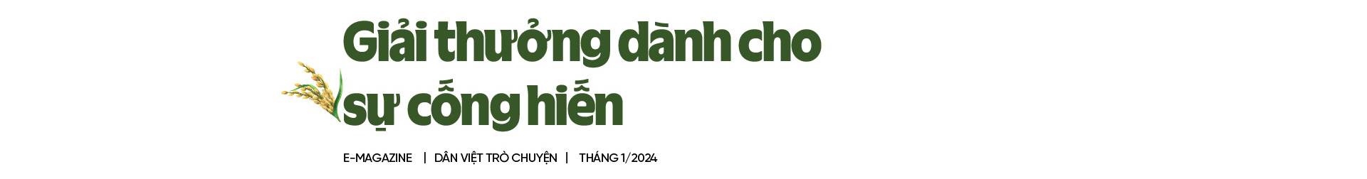 Hạnh phúc khi thấy nụ cười của nông dân sau mỗi vụ lúa trúng mùa được giá- Ảnh 10.