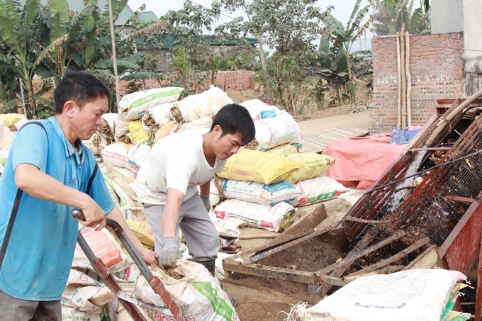 Người dân đưa củ đao vào máy sàng rửa sạch trước khi chế biến tinh bột. Ảnh: Thanh Tiến.