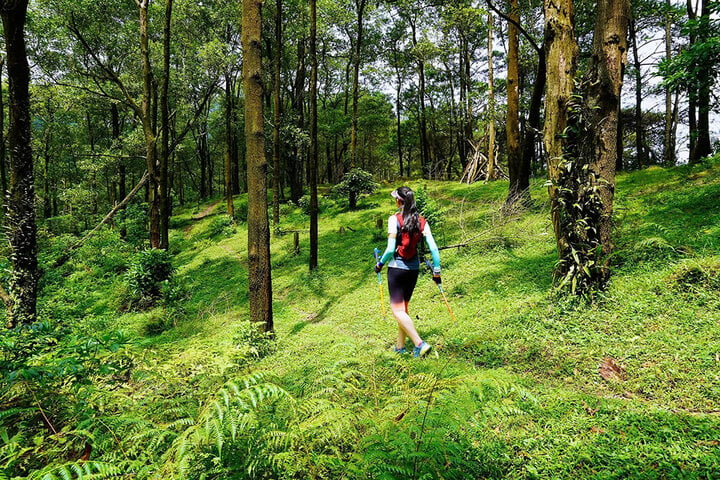 Cung đường trekking núi Hàm Lợn luôn hấp dẫn du khách.