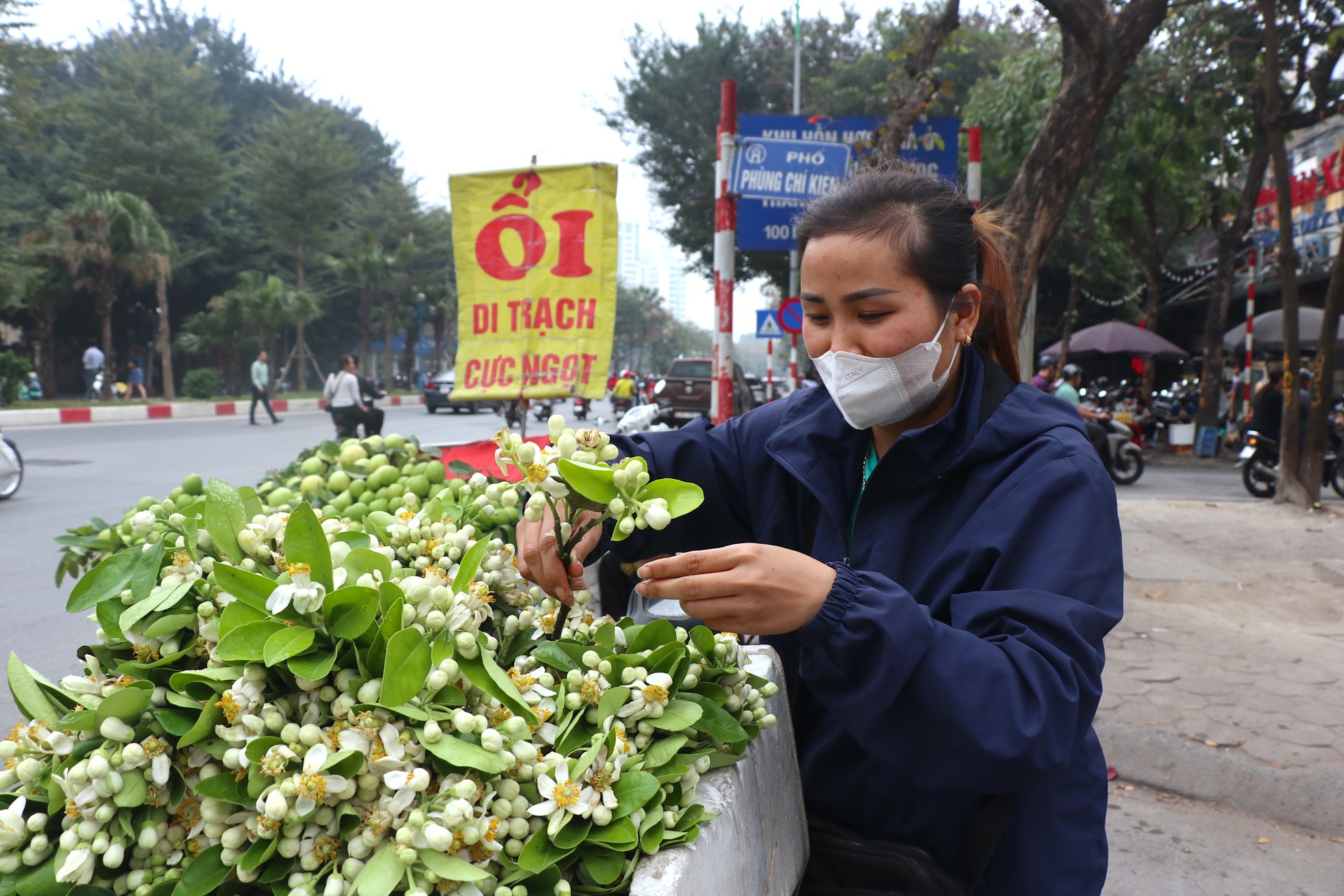 Hoa bưởi đầu mùa giá tới nửa triệu đồng/kg vẫn hút khách Hà Thành ảnh 5