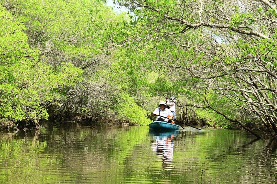 Từ t&agrave;i trợ của GCF-UNDP, nhiều hộ d&acirc;n đ&atilde; c&oacute; th&ecirc;m c&ocirc;ng ăn việc l&agrave;m, vừa bảo vệ rừng, vừa khai th&aacute;c nguồn lợi thủy sản v&agrave; bước đầu kinh doanh du lich sinh th&aacute;i.&nbsp;Tổ du lịch cộng đồng B&agrave;u C&aacute; C&aacute;i cũng đ&atilde; được th&agrave;nh lập.