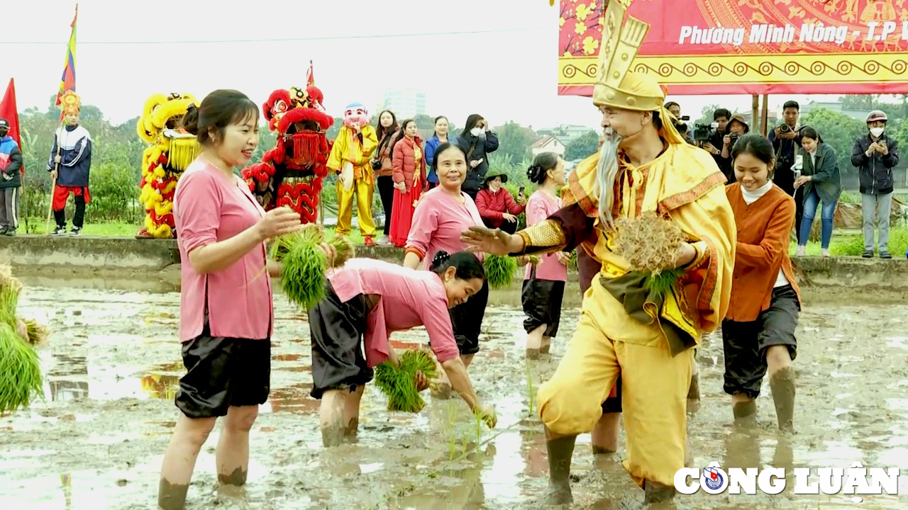 phu tho tai hien song dong nghi le vua hung day dan cay lua hinh 3