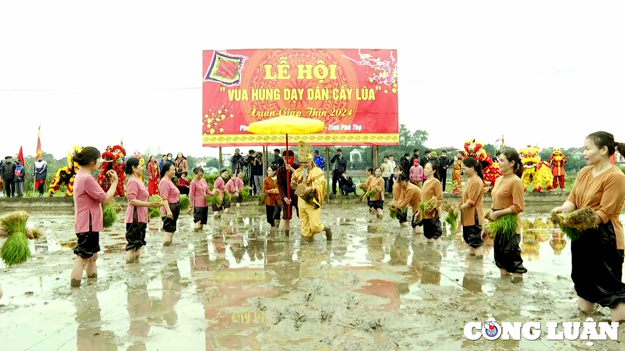 phu tho tai hien song dong nghi le vua hung day dan cay lua hinh 2