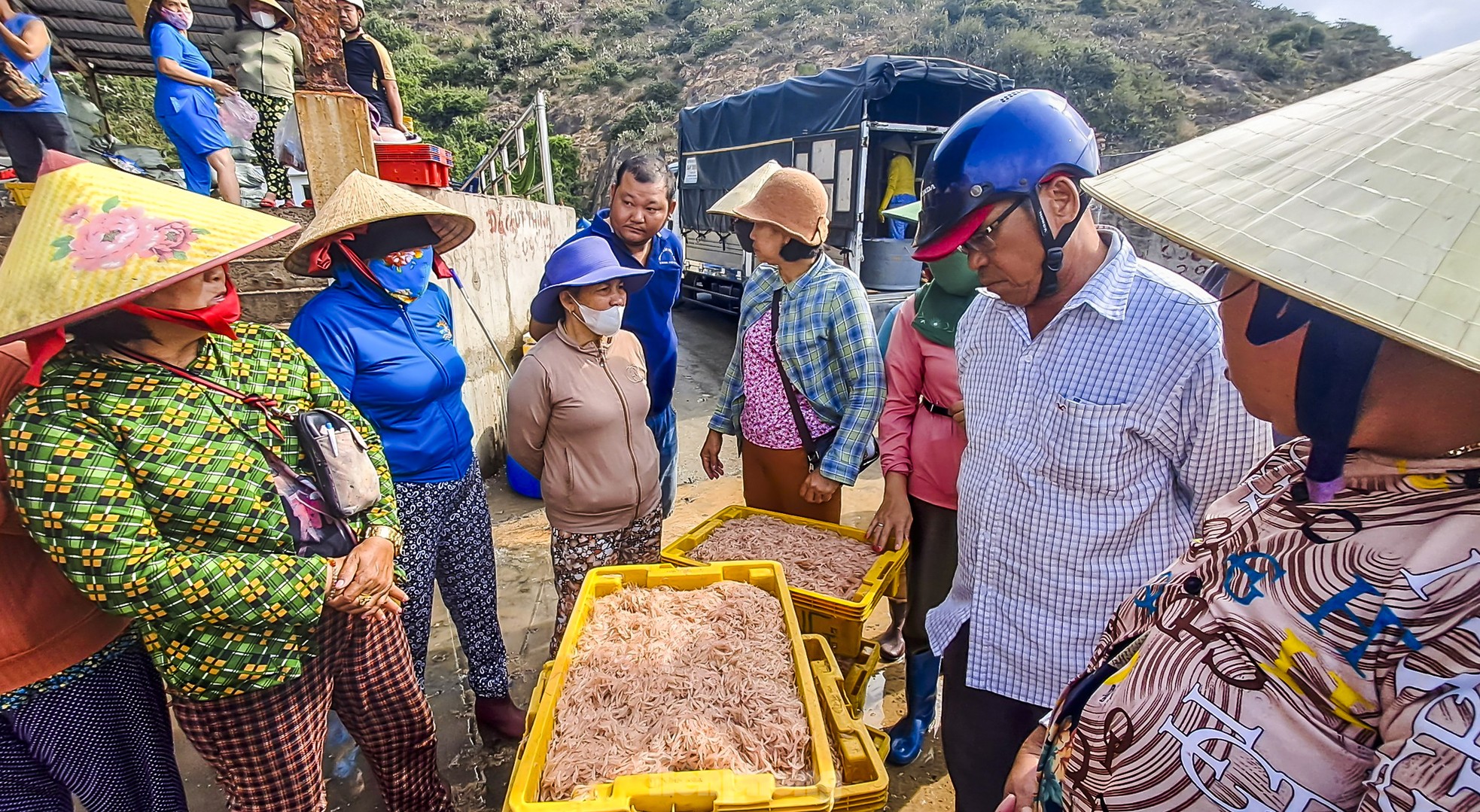 Ngư dân Bình Định trúng đậm lộc biển, thu 225 tấn ruốc, cá cơm sau 3 ngày ảnh 4