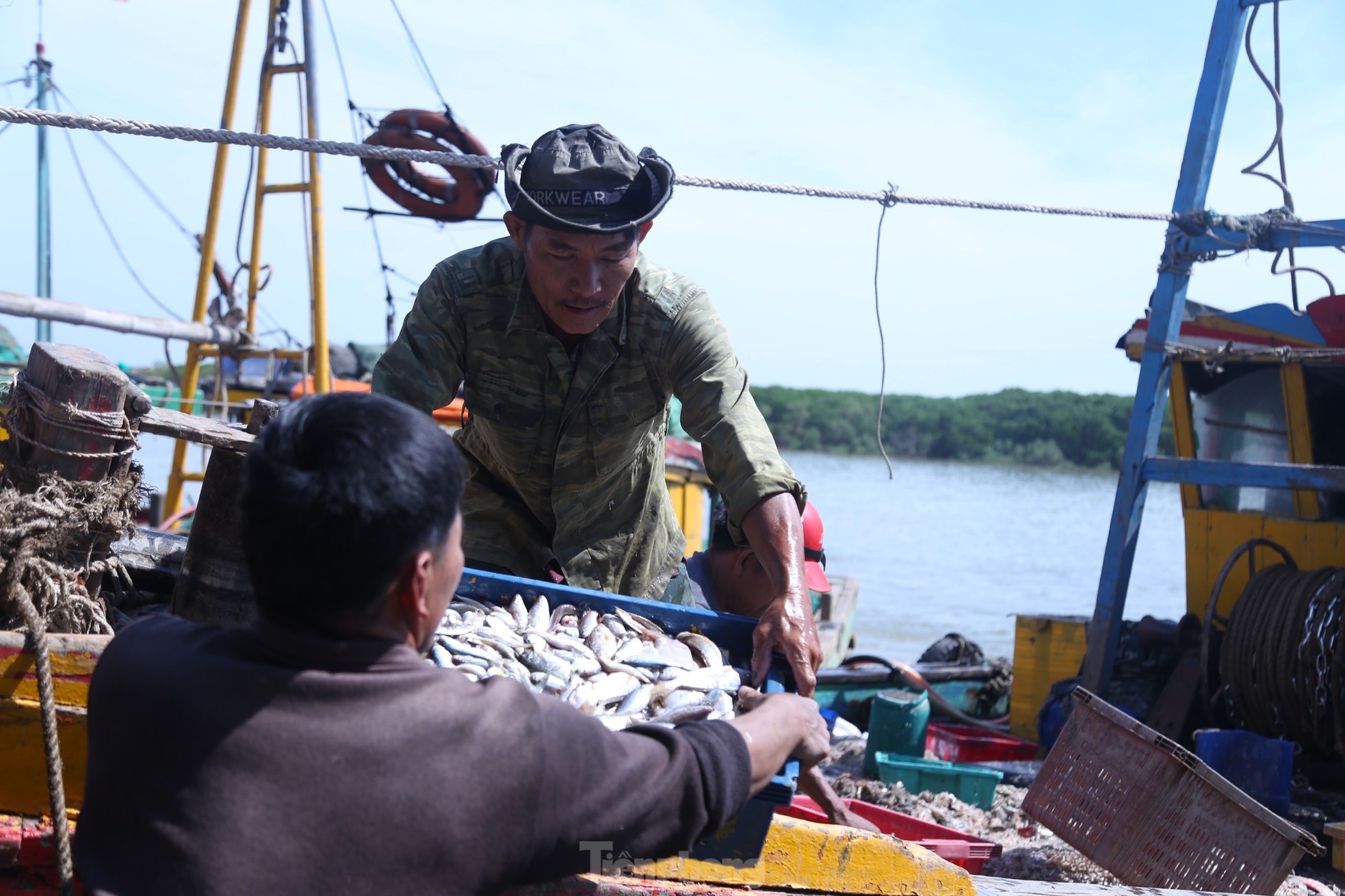 Tàu thuyền đầy ắp 'lộc biển', cảng cá nhộn nhịp mua bán ảnh 2