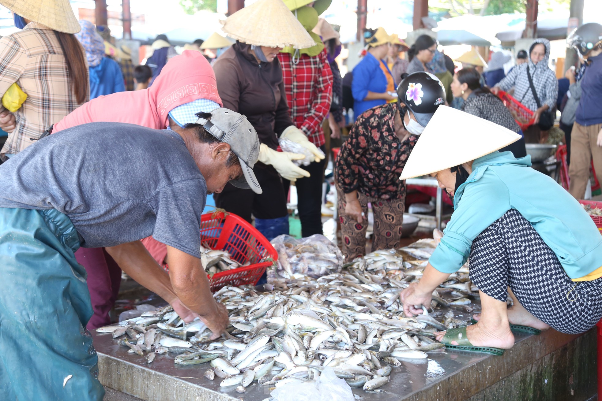 Tàu thuyền đầy ắp 'lộc biển', cảng cá nhộn nhịp mua bán ảnh 7