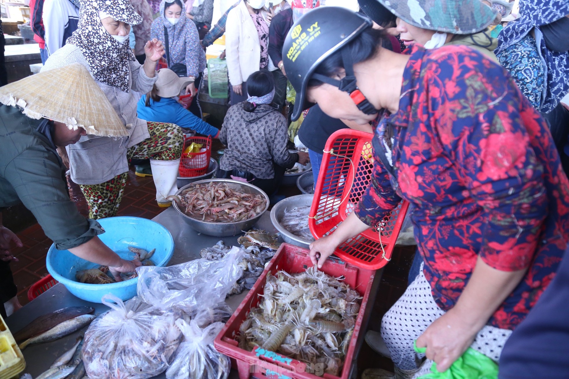 Tàu thuyền đầy ắp 'lộc biển', cảng cá nhộn nhịp mua bán ảnh 6