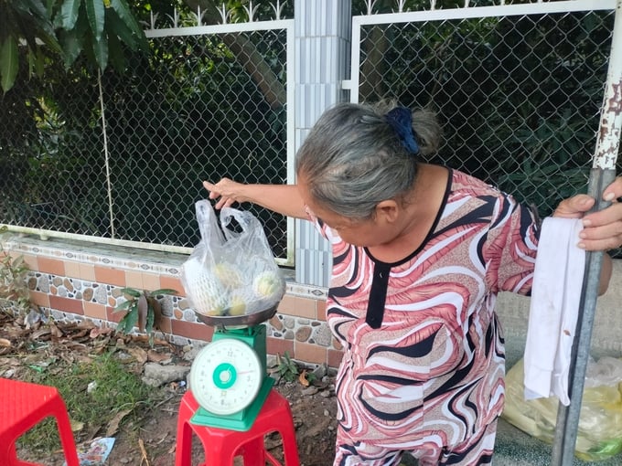 Người dân địa phương bán xoài cát Hòa Lộc cho khách du lịch. Ảnh: Minh Đảm.