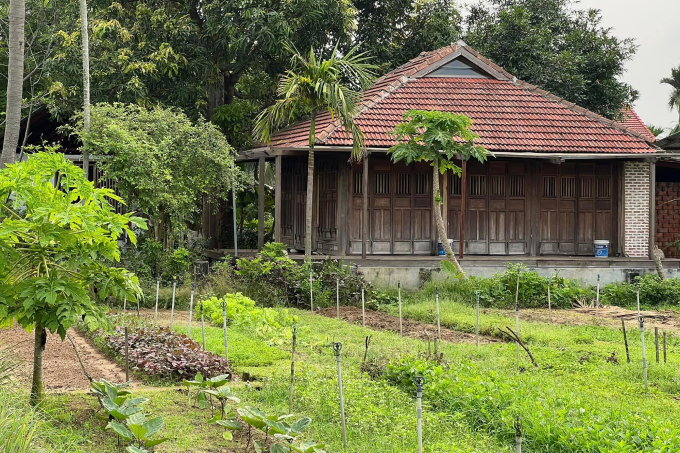 Một góc làng rau Trà Quế.