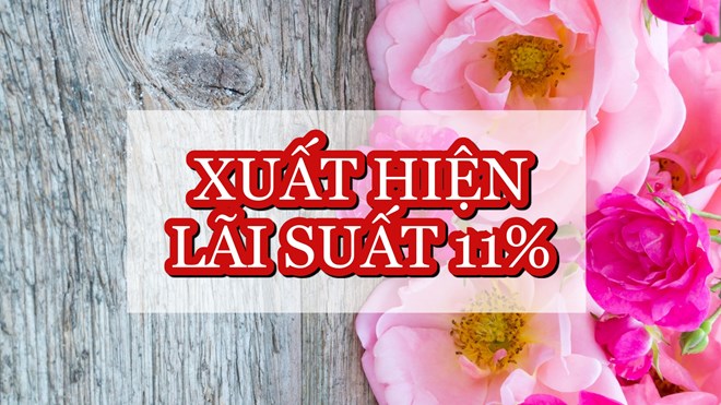 Lãi suất ngân hàng hôm nay 19.2: Bất ngờ xuất hiện lãi suất 11%