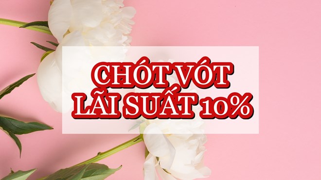 Lãi suất ngân hàng hôm nay 22.2: Các ngân hàng có lãi suất 10%