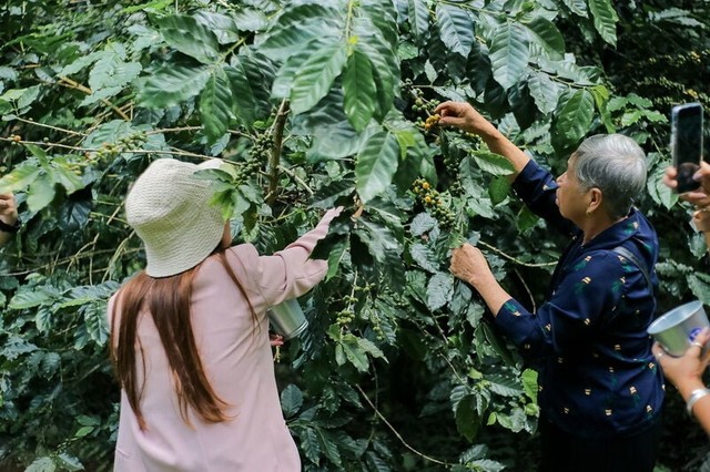 Cách Thái Lan phát triển các mô hình du lịch nông nghiệp là kinh nghiệm giúp Việt Nam triển khai - Ảnh 1.