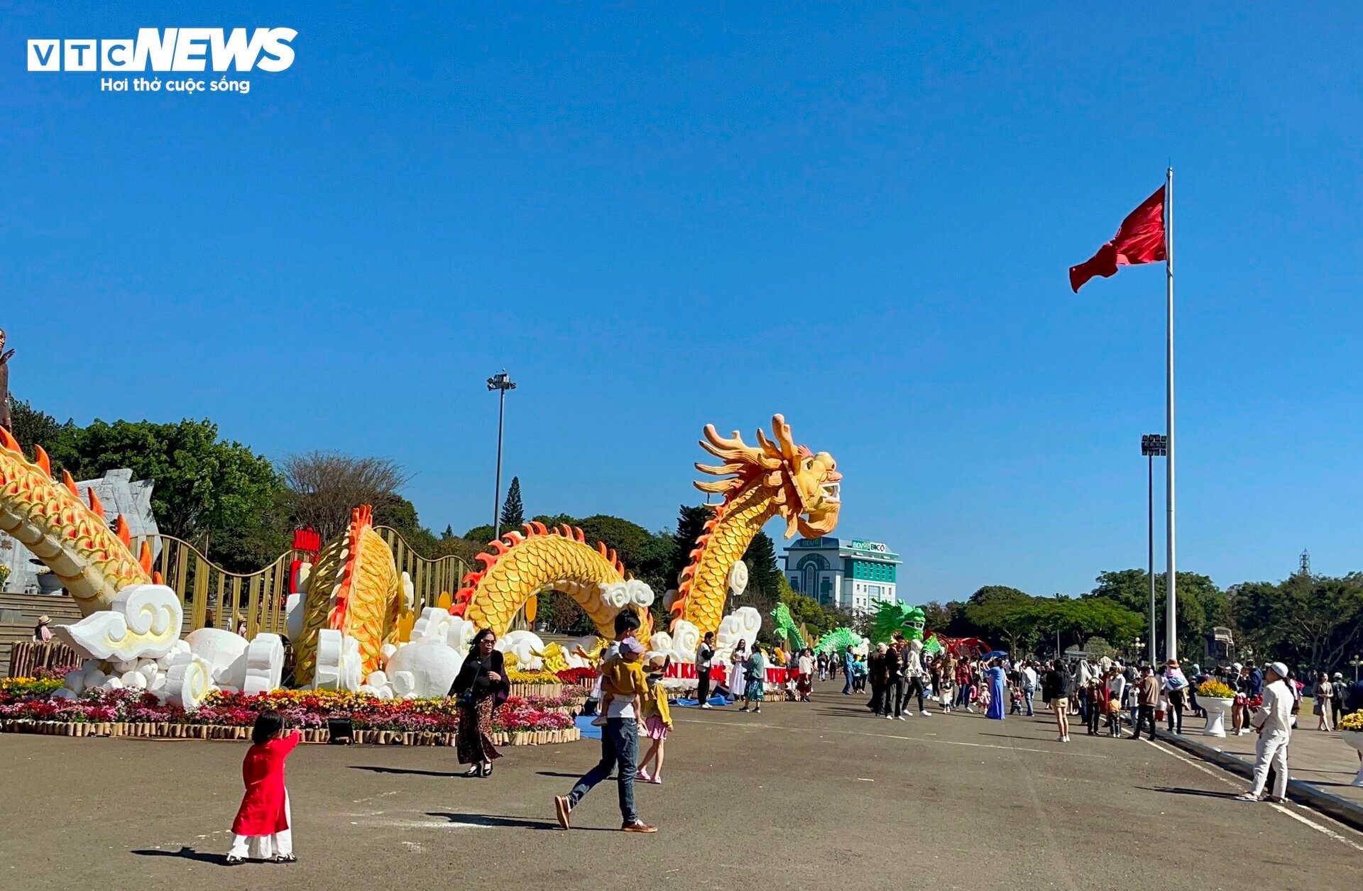 Check-in ngày xuân, người dân tán thưởng đường hoa Gia Lai 'xứng điểm 10' - 1