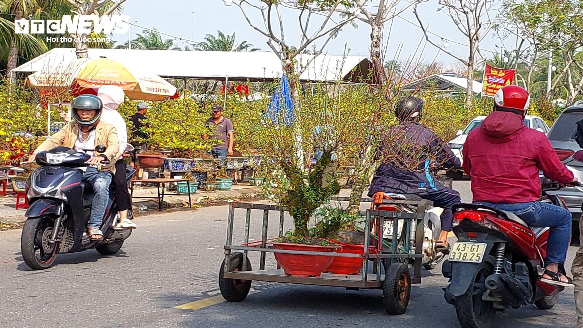 Chở hoa Tết kiếm tiền triệu mỗi ngày, tài xế tranh thủ cày ngày cày đêm - 1