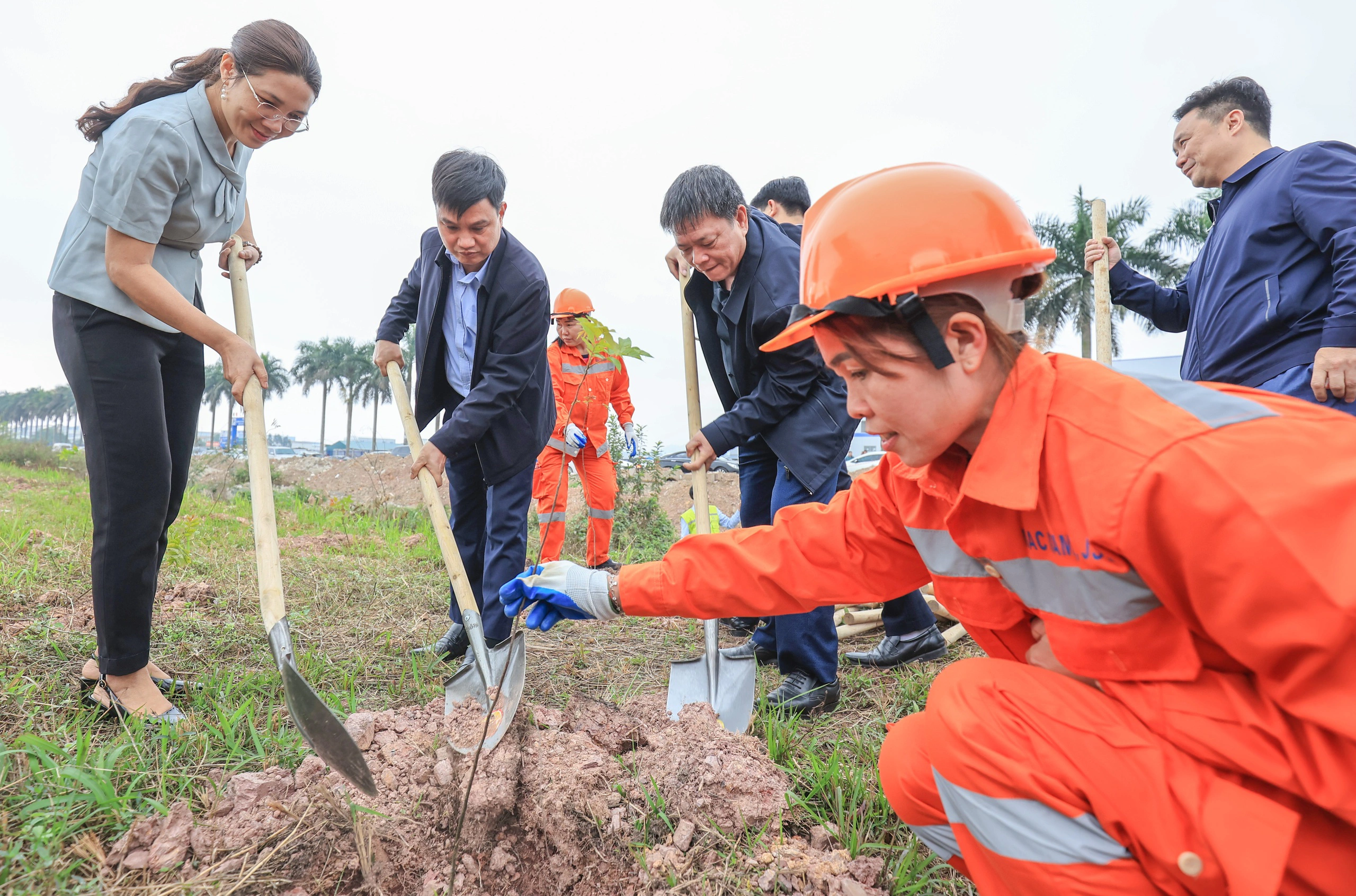 Hàng nghìn cây xanh được trồng dọc các tuyến quốc lộ sau Tết- Ảnh 1.