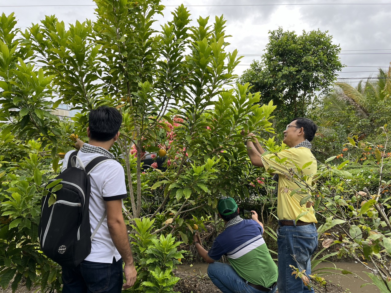 Hậu Giang hướng đến du lịch nông nghiệp - Ảnh 1.