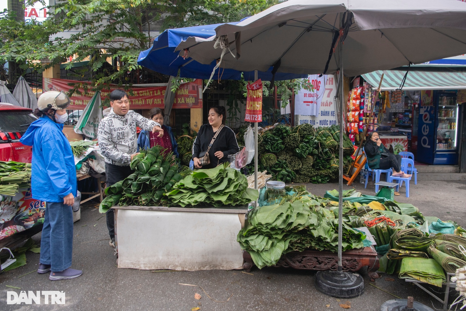 Lá dong đắt gấp 3, người dân vẫn phấn khởi mua gói bánh chưng - 1