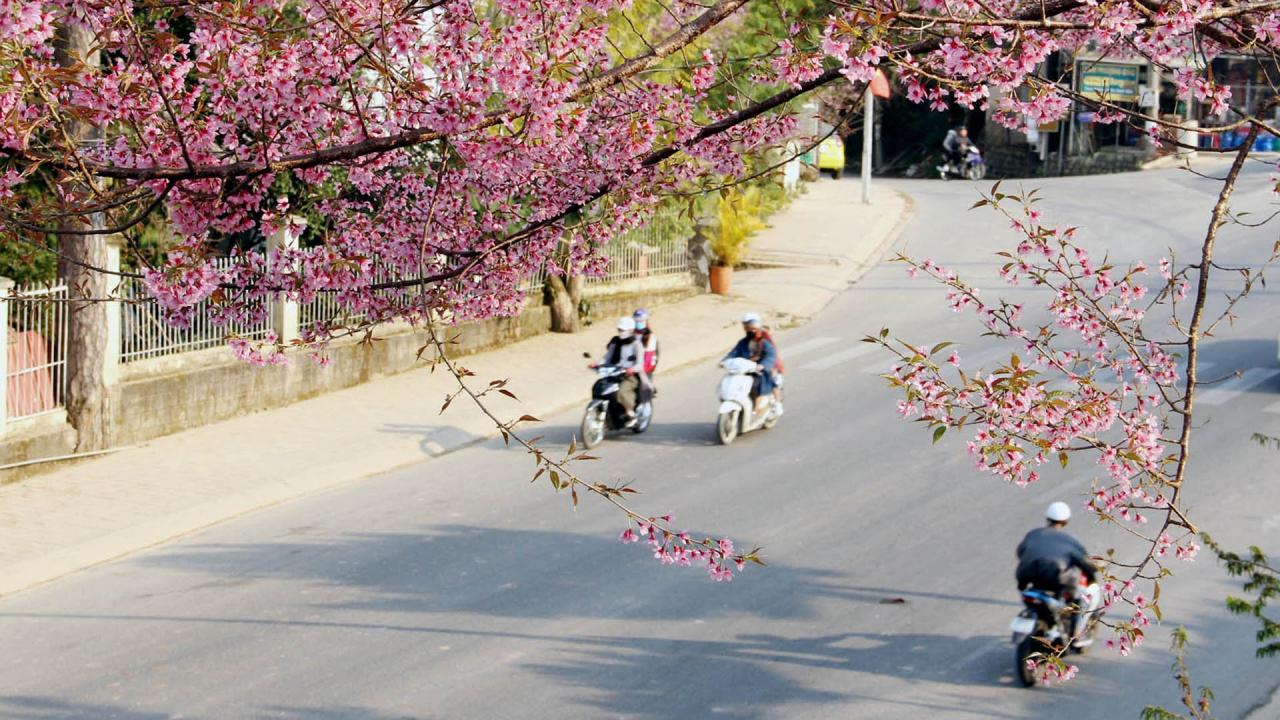 Khung cảnh tràn ngập sắc hồng đẹp tựa như tranh vẽ khiến du khách thích mê. Ảnh: Nguyễn Nghĩa 