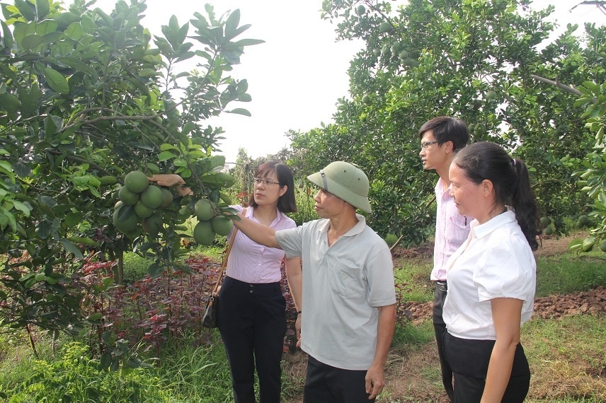 Xã Song Phượng, huyện Đan Phượng, Hà Nội