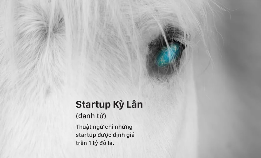 nhung bai hoc quy tu cac startup ky lan hinh anh 1