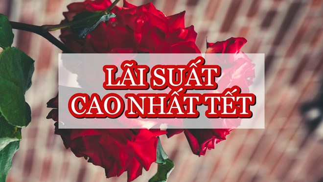 Lãi suất ngân hàng hôm nay 9.2: Tết gửi tiết kiệm ở đâu lãi suất cao nhất