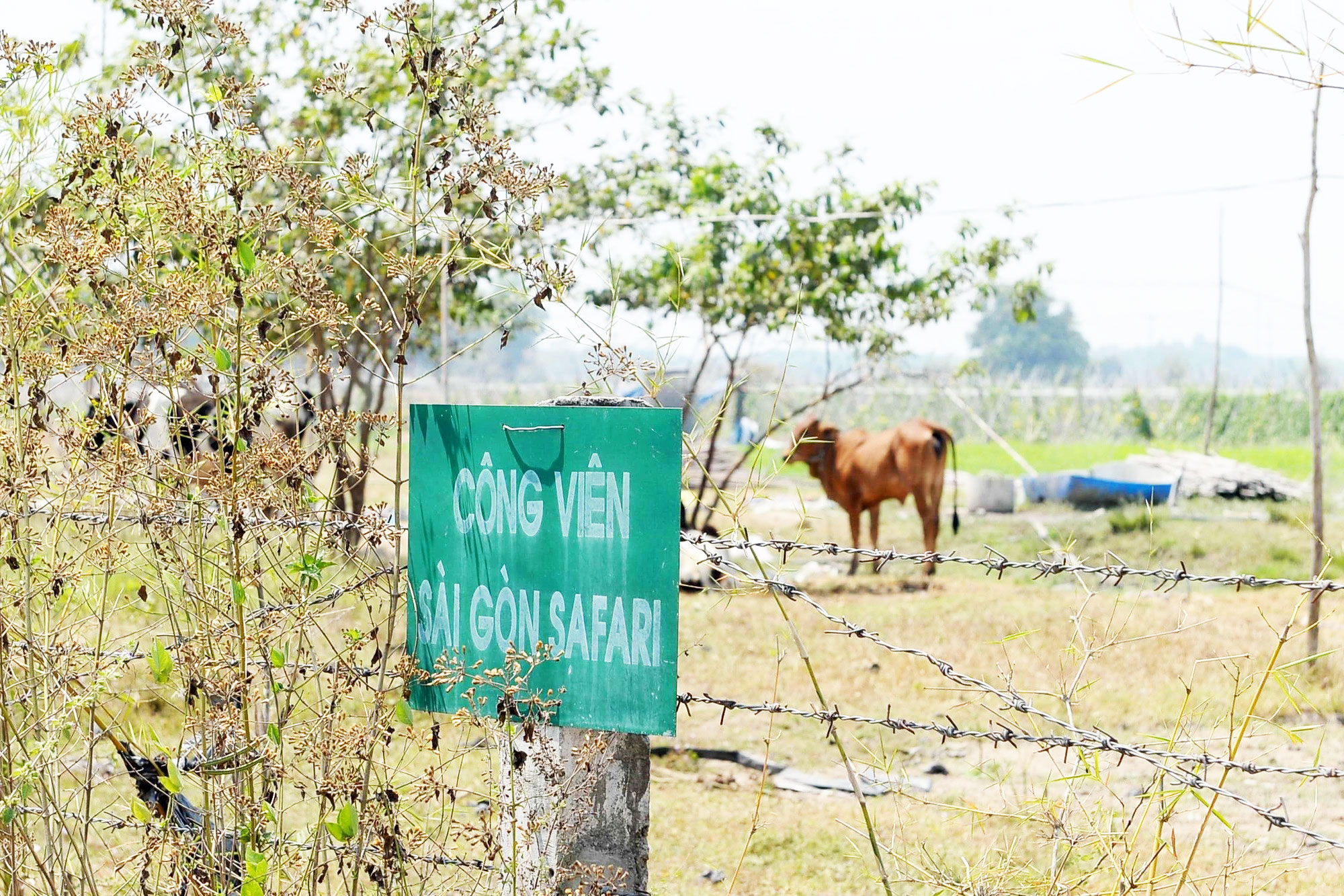 Tiền đâu đầu tư 6 công viên gần 800 ha?- Ảnh 1.