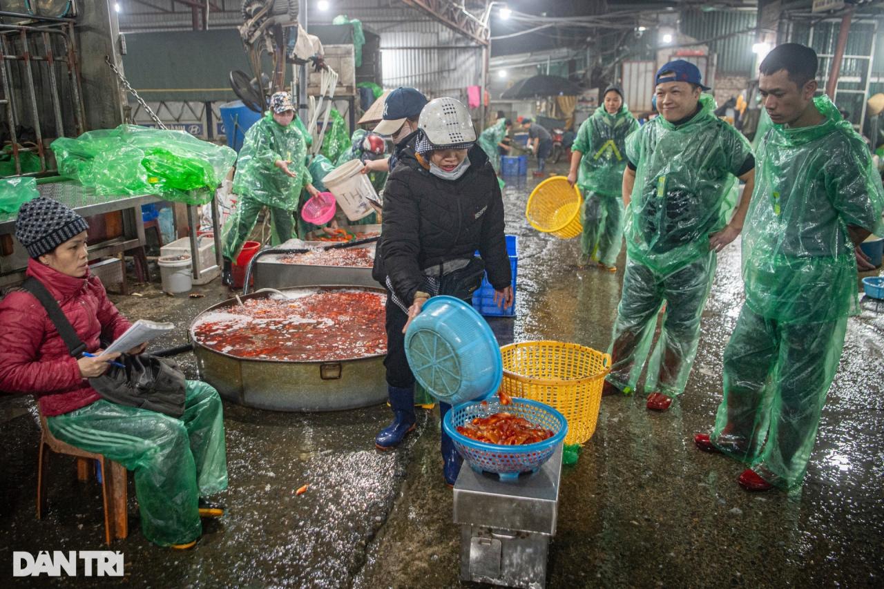 Chợ cá lớn nhất Hà Nội tấp nập, tiểu thương vẫn lo vì cá chép đỏ rớt giá - 8