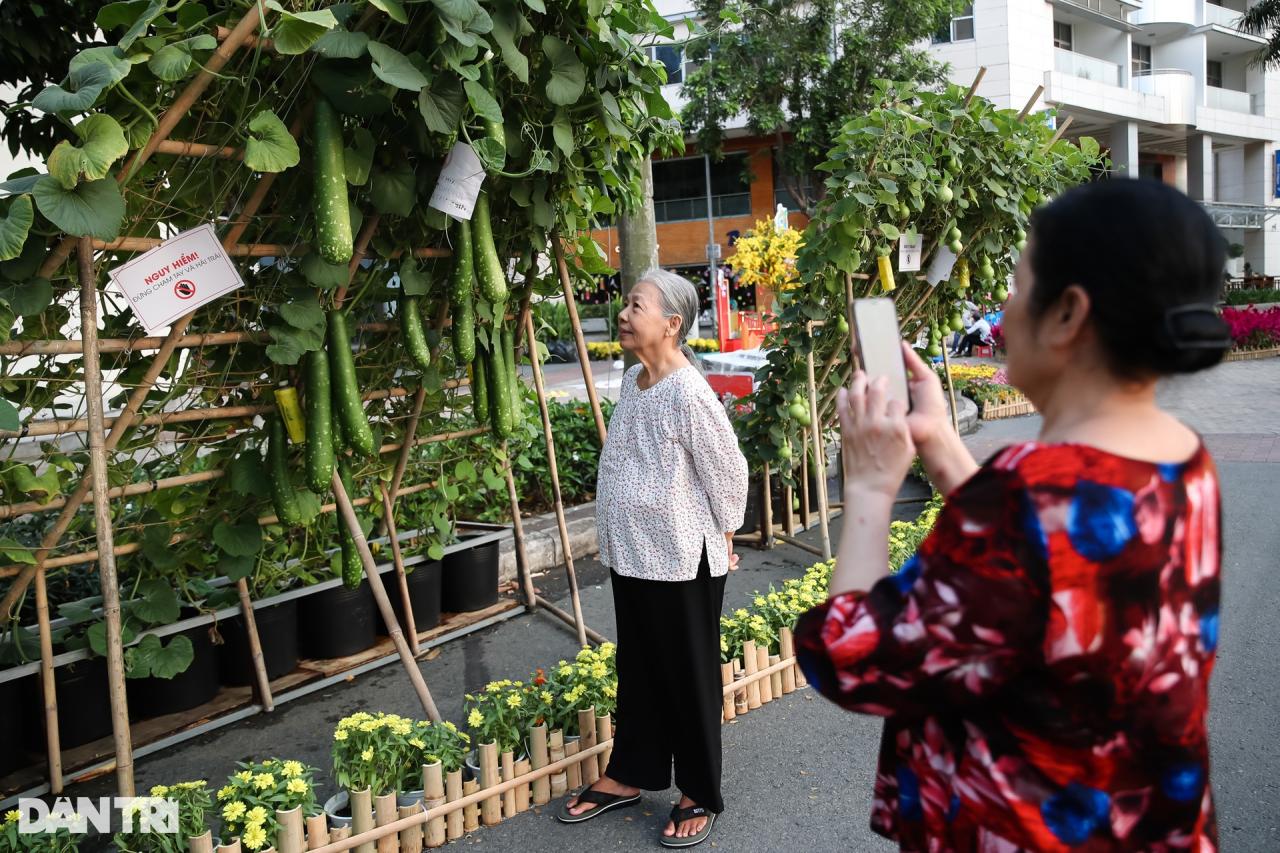 Đường hoa xuân khu nhà giàu Phú Mỹ Hưng trước giờ khai mạc - 10