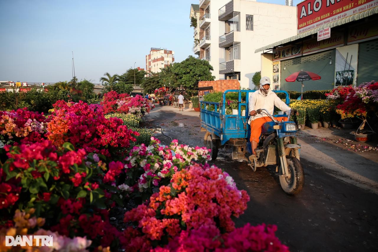 Con đường dọc kênh Tham Lương rực rỡ dịp Tết Nguyên đán - 2