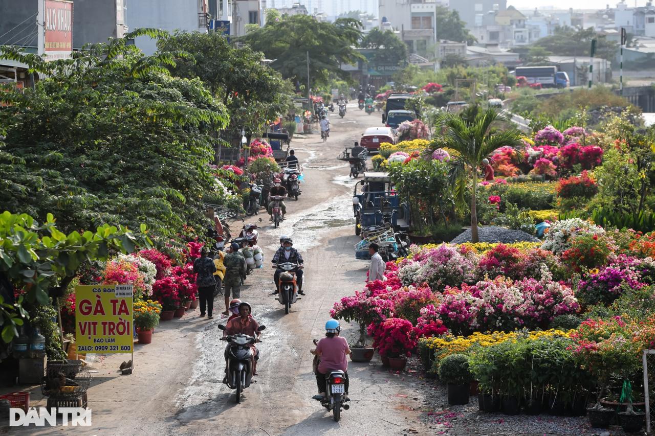 Con đường dọc kênh Tham Lương rực rỡ dịp Tết Nguyên đán - 1