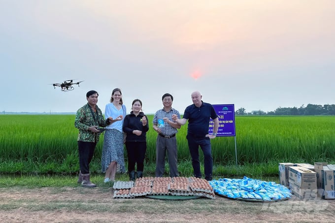 Nhiều chuyên gia nước ngoài đã về tham quan những cánh đồng lúa hữu cơ của nông dân Quảng Trị liên kết với Sepon Group. Ảnh: Võ Dũng.