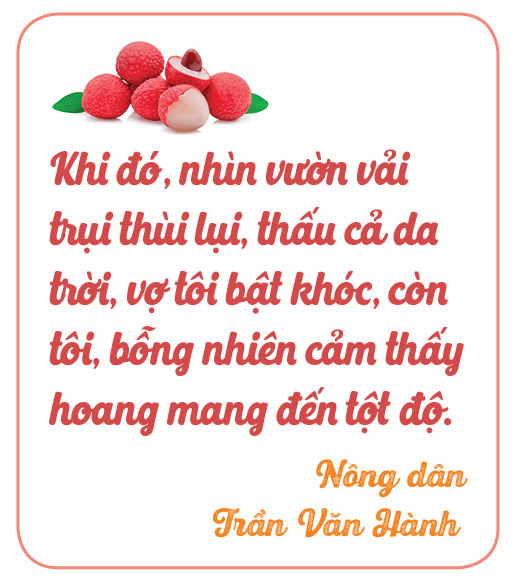 Nhà khoa học Sán Dìu ép vải thiều &quot;đẻ&quot; từ thân và món quà thượng hạng - Ảnh 6.