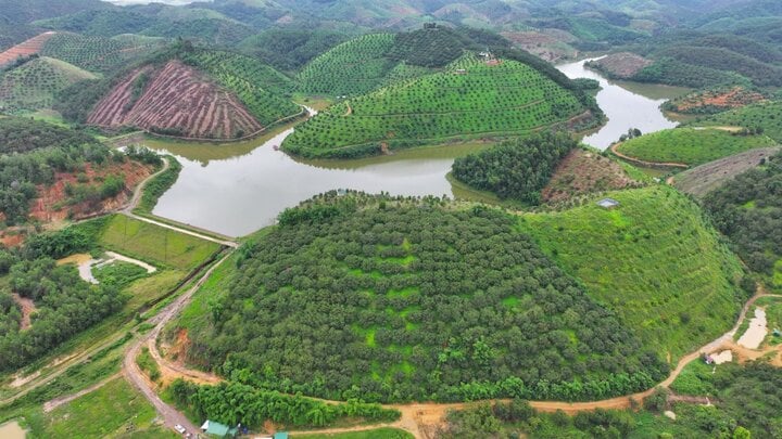 Dự án hồ chứa nước Tư Nghĩa để xảy ra các sai phạm khiến ông Sanh và ông Huỳnh Trí bị khởi tố bắt tạm giam.